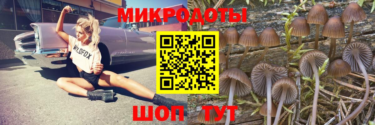 Галлюциногенные грибы Magic Shrooms Кинель